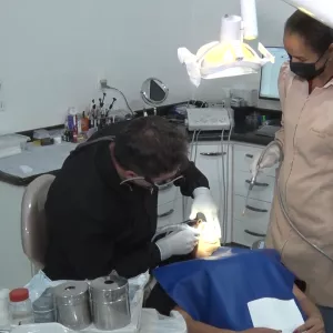 Saúde bucal, mangaba na produção de cosméticos, novas espécies de plantas e gel antiveneno no Univerciência 