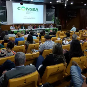 Salvador sedia primeira edição do Encontro dos Conseas Nordeste