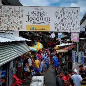 Filme Aprender a Sonhar, dançarino Elinilson e Festival Gastronômico no Bem Bahia da TVE