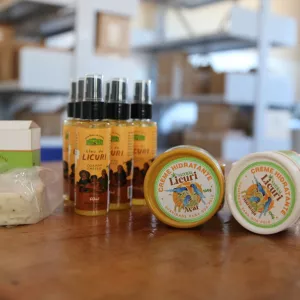 Bahia que Produz e Alimenta impulsiona cadeia do licuri em Monte Santo