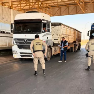 Operação Safra Oeste 2025