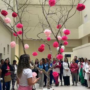 Hospital Regional da Chapada 