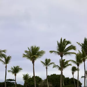 Após semana de chuvas intensas, tempo volta a ficar firme na Bahia