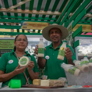 2º Festival do Queijo Artesanal promove experiência multissensorial e troca de conhecimentos sobre produção de queijos