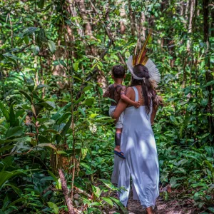 Publicação da UNESCO destaca contribuição da Bahia em livro trilíngue sobre saberes indígenas