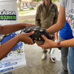 ”Animal silvestre não é pet”: campanha em Amargosa inspira novos olhares sobre a natureza