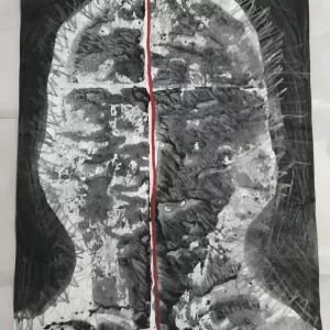 MAB e MAC_BAHIA inauguram três exposições nesta quinta-feira (22)