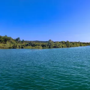 Riqueza da vida marinha revela a força dos mares da Bahia