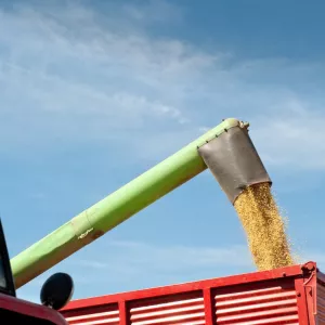 Produtores agrícolas