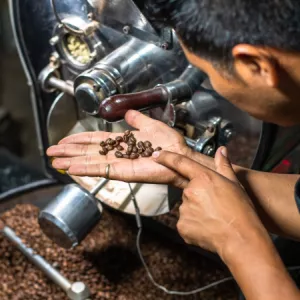Bahia estrutura cadeia produtiva do café para conquistar mercados internacionais