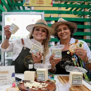 Festival de queijo artesanal