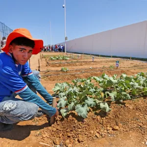Hortas Comunitárias