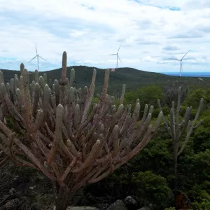 Planos Territoriais de Desenvolvimento Sustentável