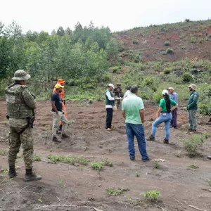 Operação Ronda Verde