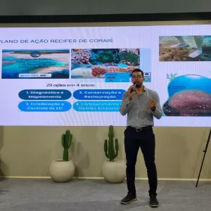 Bahia apresenta avanços na conservação marinha durante a COP30