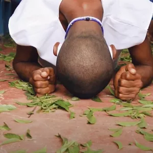 ‘Encanto das Folhas: Patrimônio Sagrado do Recôncavo’ 