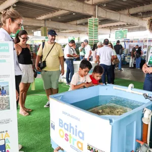 Fenagro 2025 encanta público de todas as idades no primeiro dia da programação