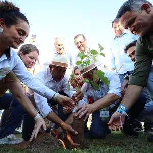  Seagri e ABAF assinam convênio de arborização urbana com espécies nativas em 12 municípios