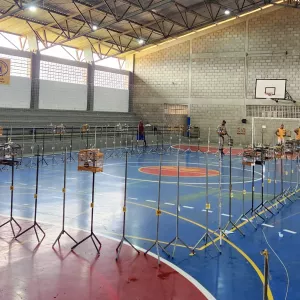 Inema e PM interrompem evento ilegal de canto de pássaros e resgatam mais de 100 aves silvestres no Extremo Sul