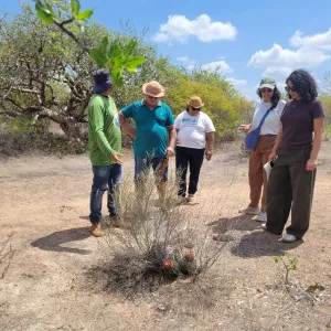 Oficiais do FIDA visitam experiências desenvolvidas pela CAR no Semiárido baiano