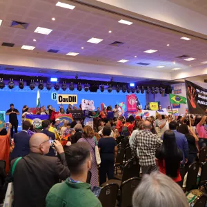 Dia Internacional dos Direitos Humanos