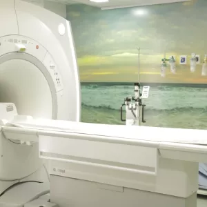 Osid e Aristides Maltez lideram apoio dos cidadãos no Sua Nota é um Show de Solidariedade