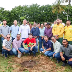 Projeto Arborização