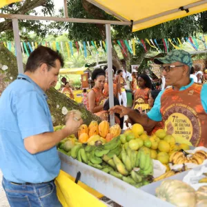 Editais de inclusão produtiva para indígenas e quilombolas avançam para análise territorial na Bahia