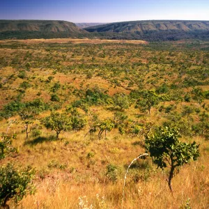 Outono na Bahia: entenda como a nova estação impacta o clima e a biodiversidade no estado