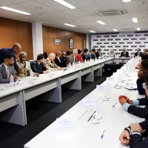 Comitê de Governança