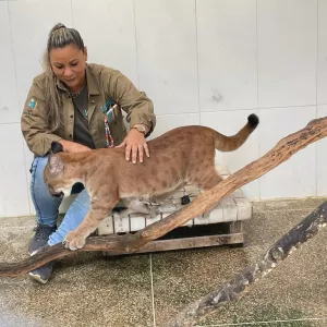  Parque Zoobotânico da Bahia