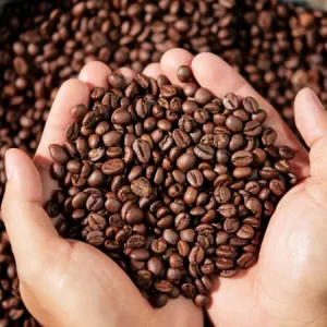 Dia Mundial do Café