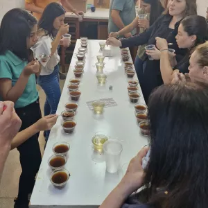 Uesb impulsiona setor cafeeiro com laboratório especializado no estudo de grãos de café