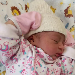 gerida pela Fundação Estatal Saúde da Família (FESF-SUS),