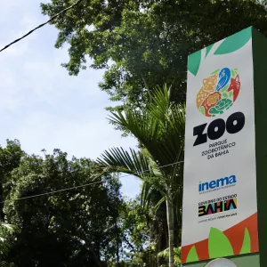Animais do Parque Zoobotânico da Bahia ganham “Ovozoo de Páscoa” em semana especial de enriquecimento ambiental