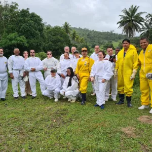 DAB conclui capacitação sobre apicultura e manejo sanitário das abelhas na Bahia