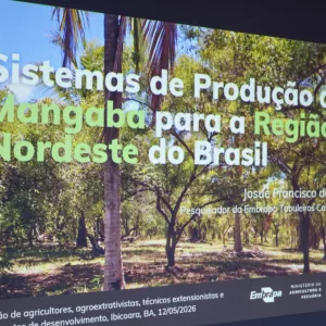 Seagri fortalece cadeia produtiva da mangaba em encontro com municípios da Chapada Diamantina