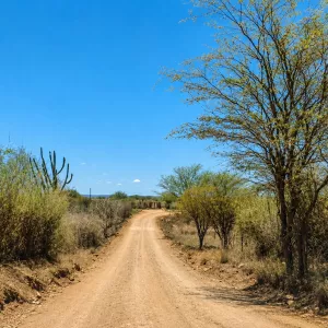 Distrito de Cisterna