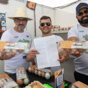 Estado certifica primeira classificadora de ovos caipiras do Território da Bacia do Rio Corrente