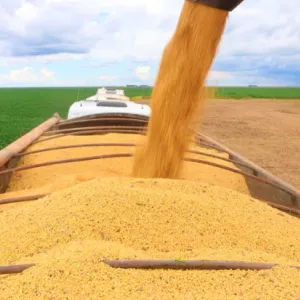 PIB do agronegócio baiano totalizou R$ 19,2 bi no 1º trimestre de 2026
