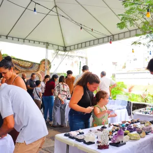 Museu Geológico da Bahia promove 1º encontro de colecionadores e exposição sobre a história da Terra