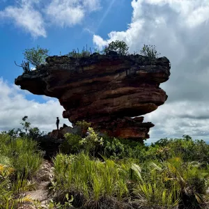 Junho Ambiental 2026: Governo promove entregas, investimentos de cerca de R$49 milhões e mobilização em todo o estado