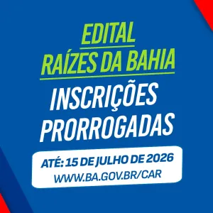 Raízes da Bahia