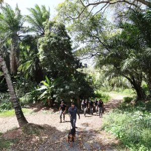 Policiais militares da Bahia são capacitados para conduzir cães em buscas por pessoas desaparecidas