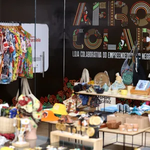Segunda Década Estadual Internacional de Afrodescendentes
