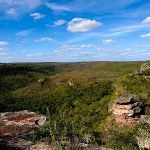 Refúgio de Vida Silvestre Serra da Chapadinha é criado