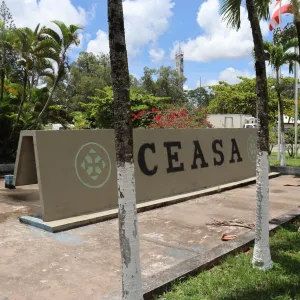 Ceasa de Salvador