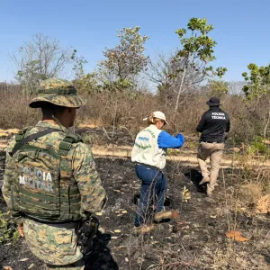 Ronda Verde inicia fiscalização em áreas atingidas por incêndios florestais na Bahia