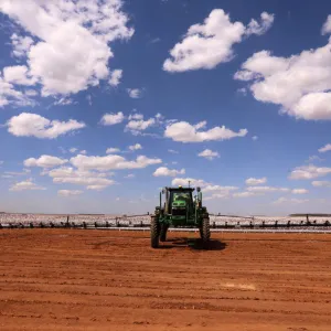 Estimativa aponta safra recorde de grãos na Bahia em 2026