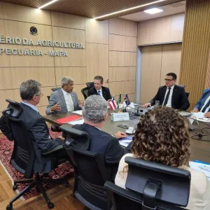Acordo abre caminho para previsão de safra de cacau na Bahia
